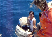 Deploying drifter buoy - Lovesail