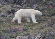 IMG_1317